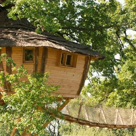 Cabane Perchee Dans Les Arbres Saint-Hilaire-en-Morvan エクステリア 写真