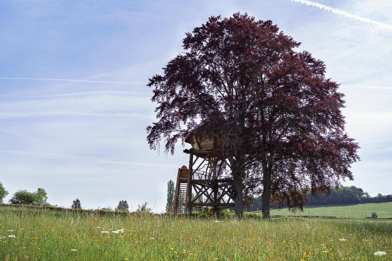 Cabane Perchee Dans Les Arbres Saint-Hilaire-en-Morvan エクステリア 写真