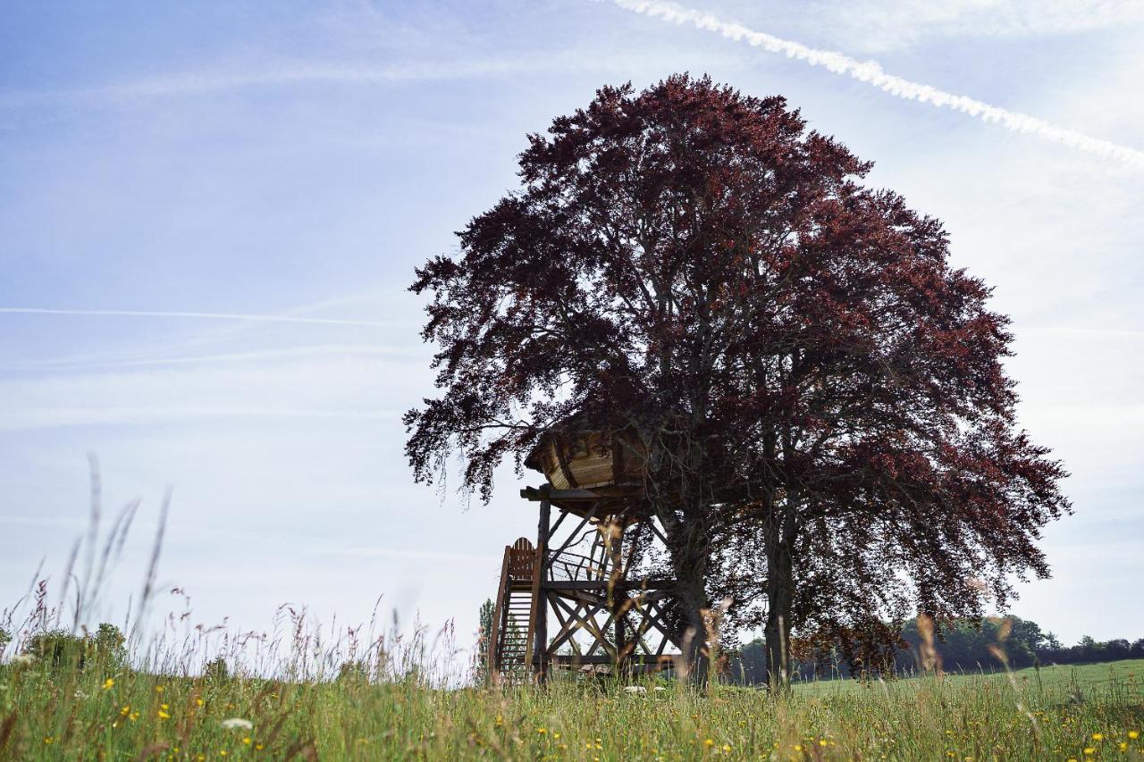 Cabane Perchee Dans Les Arbres Saint-Hilaire-en-Morvan エクステリア 写真