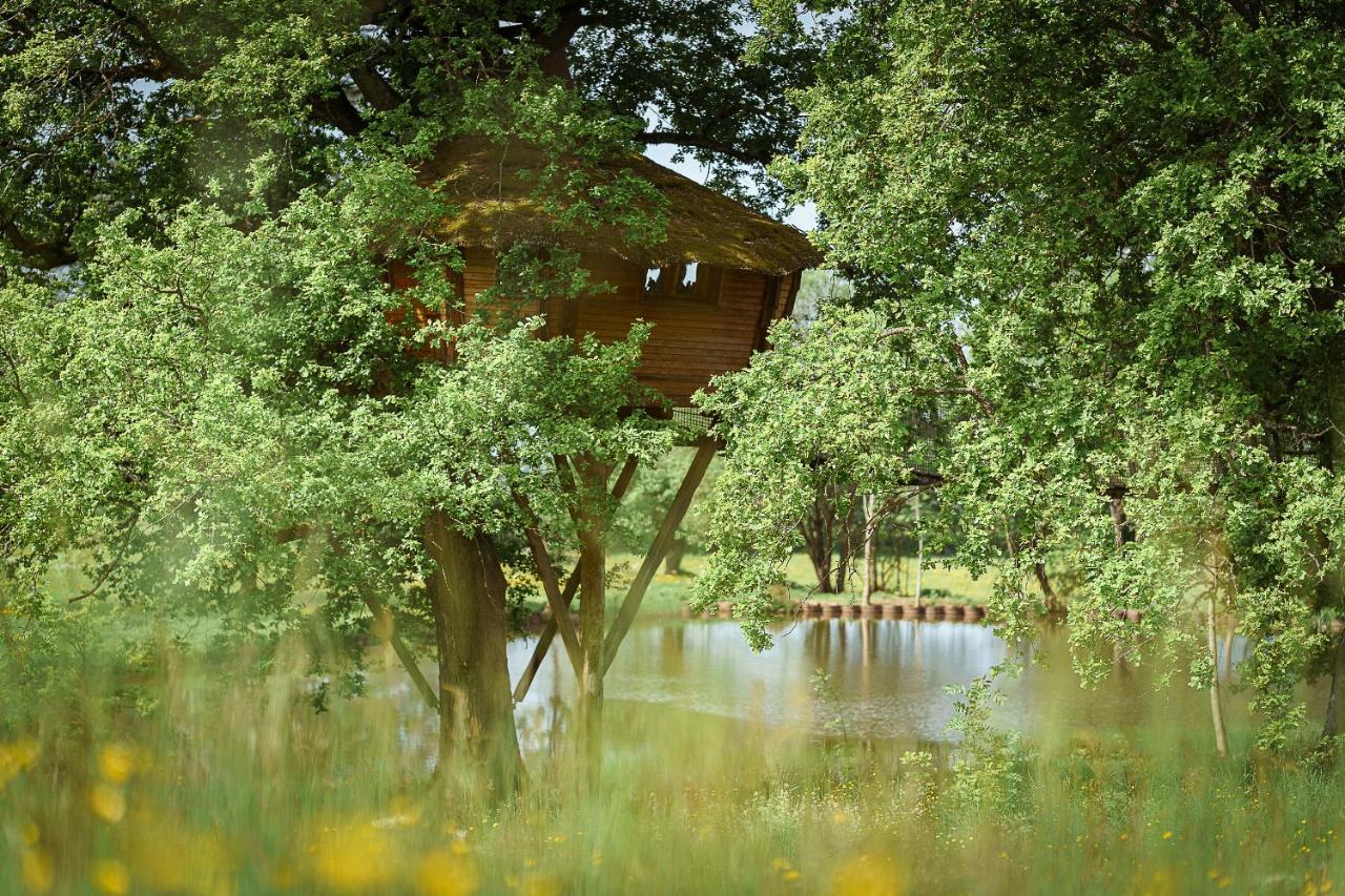 Cabane Perchee Dans Les Arbres Saint-Hilaire-en-Morvan エクステリア 写真