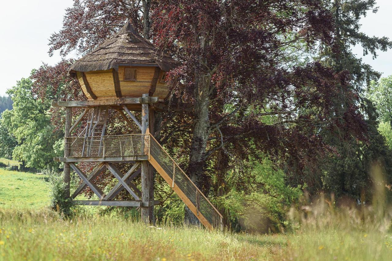 Cabane Perchee Dans Les Arbres Saint-Hilaire-en-Morvan エクステリア 写真