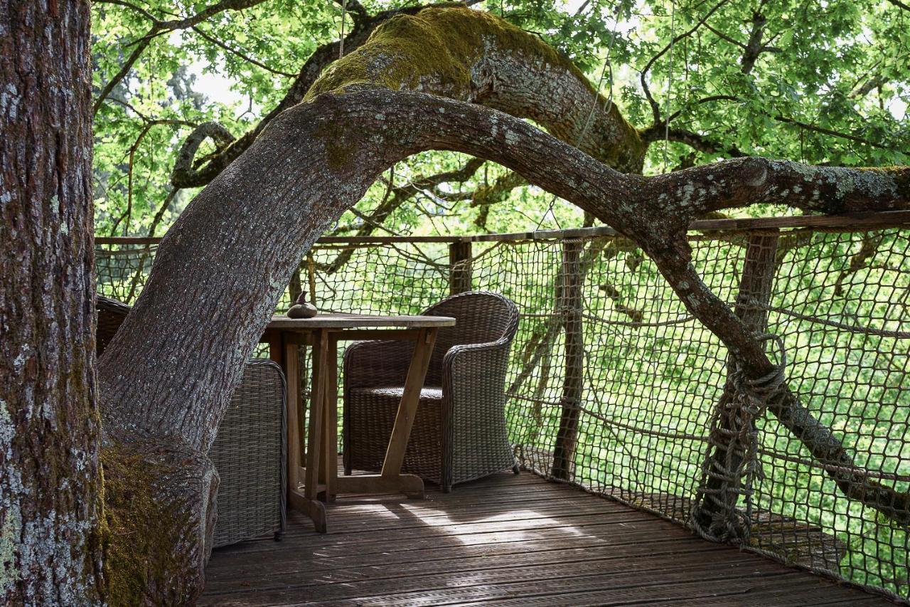 Cabane Perchee Dans Les Arbres Saint-Hilaire-en-Morvan エクステリア 写真