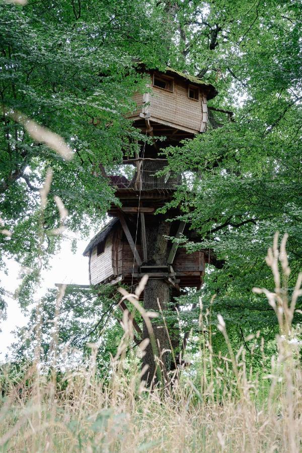 Cabane Perchee Dans Les Arbres Saint-Hilaire-en-Morvan エクステリア 写真