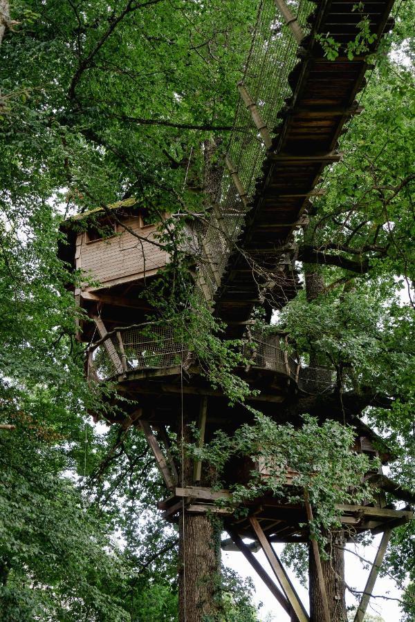 Cabane Perchee Dans Les Arbres Saint-Hilaire-en-Morvan エクステリア 写真