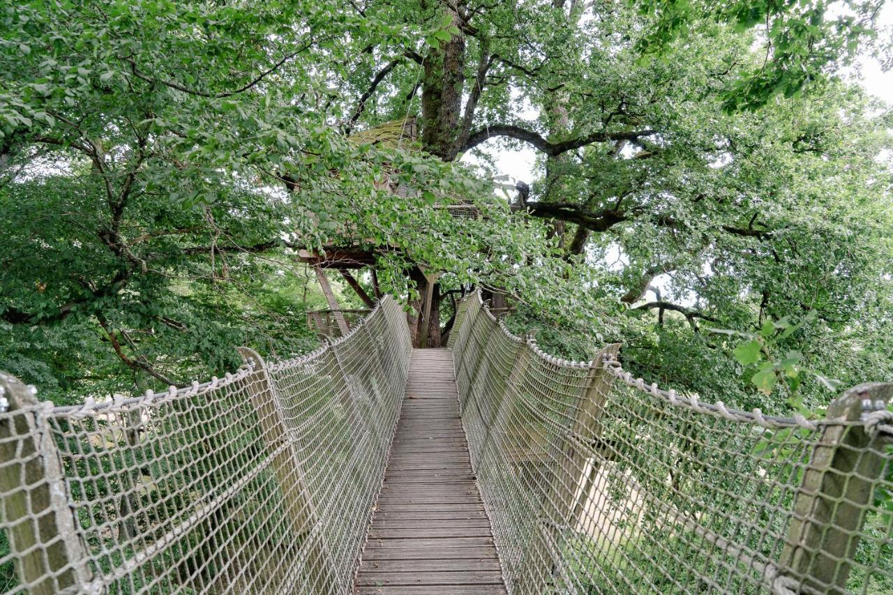 Cabane Perchee Dans Les Arbres Saint-Hilaire-en-Morvan エクステリア 写真