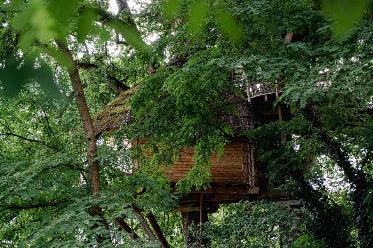 Cabane Perchee Dans Les Arbres Saint-Hilaire-en-Morvan エクステリア 写真