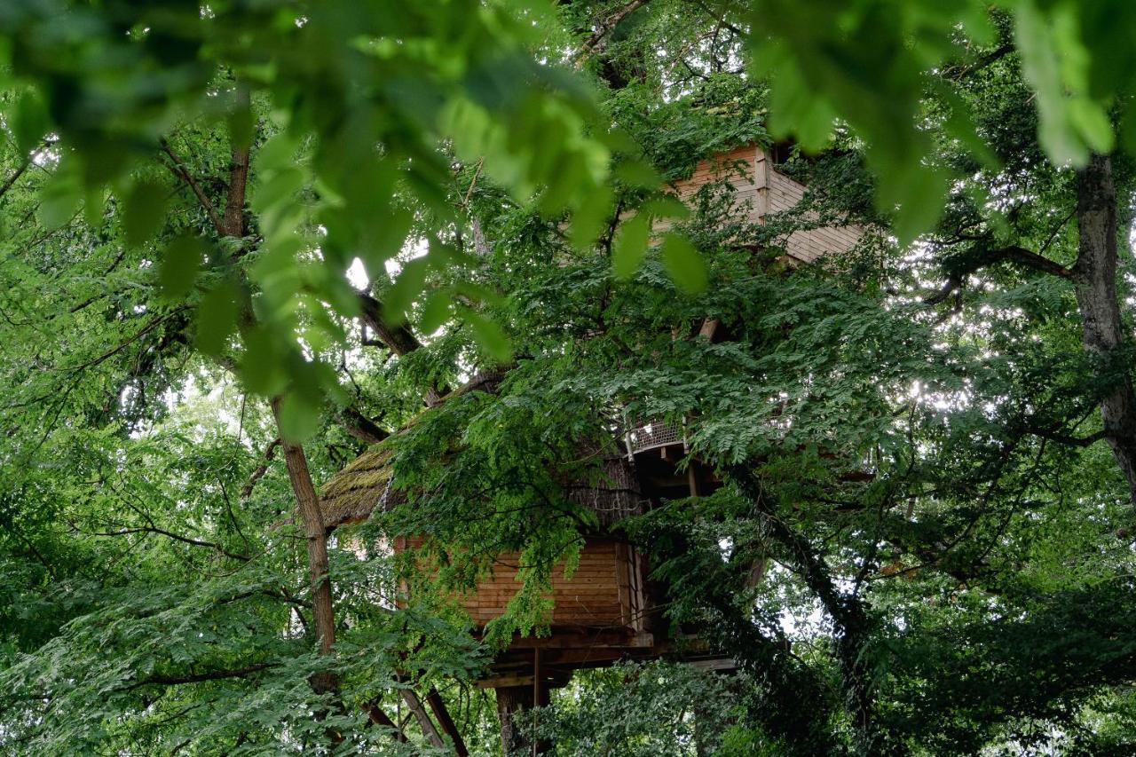 Cabane Perchee Dans Les Arbres Saint-Hilaire-en-Morvan エクステリア 写真